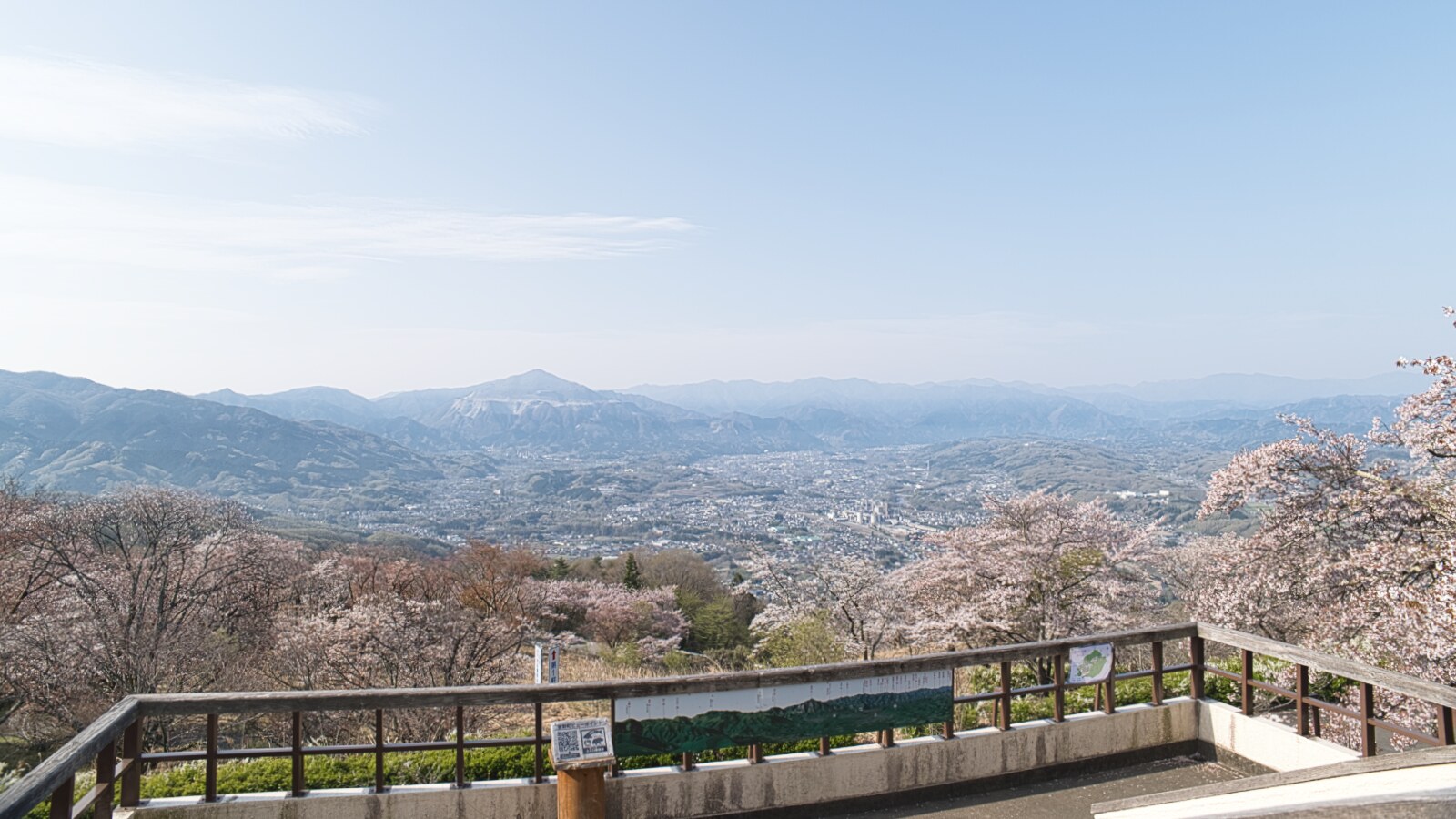 秩父市街地と武甲山を望む春の風景